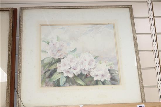 Nora H. Cullen (Exh 1933-40), four watercolours, Flower studies, largest 35 x 40cm